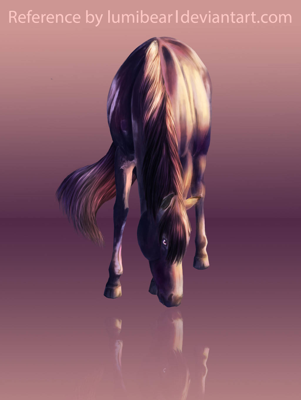 Howrse coat Summergrazing by ShishiNoSeirei