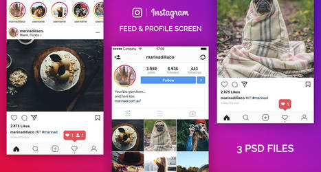 FREE Instagram PSD UI 2017 by MarinaD