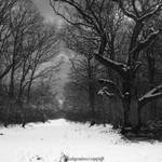 Winter IV by CountessBloody