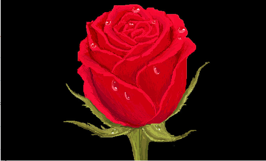 Red Rose With Water Drops In Ms Paint By Londonhouse On Deviantart Red Rose With Water Drops In Ms Paint By Londonhouse