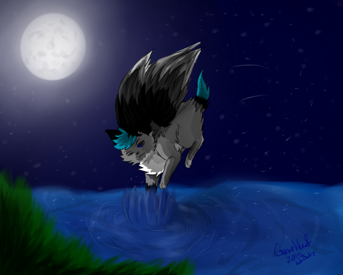 Nighttime Splash by Gravelleaf Nighttime Splash by Gravelleaf