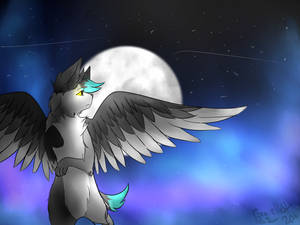 New Thingy by Gravelleaf New Thingy by Gravelleaf