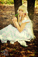 Chobits by JustineVedovato