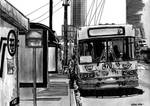 Trolebus by Jazbeck