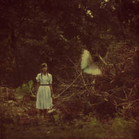 my butterfly by DarkGomo