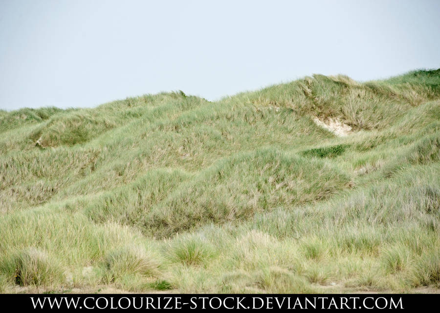 Landscape Stock 73 by Colourize-Stock