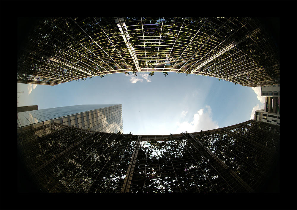 La BnF FishEye 2 by Blofeld60