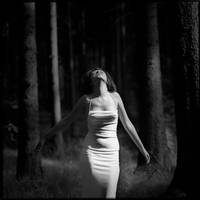 dancing with the trees by bagnino