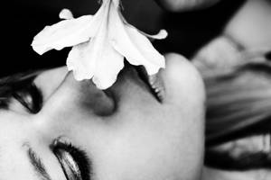 Fragrance by KayleighJune