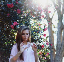 1000 Roses by KayleighJune