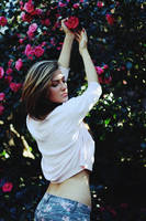 Rose by KayleighJune