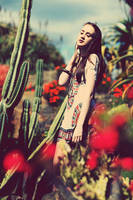 Noon by KayleighJune