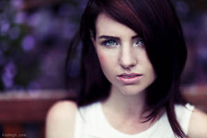 Lavender by KayleighJune