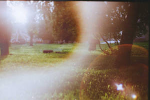 0013 (2) by TanjaMoss