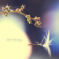 Fishing for Dandelions by sourcow