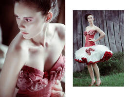 portfolio0810.. by evamertzen