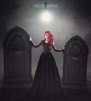 Misty Forest Stock by leeorr-stock on DeviantArt