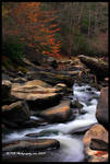 Forgotten I by TRBPhotographyLLC