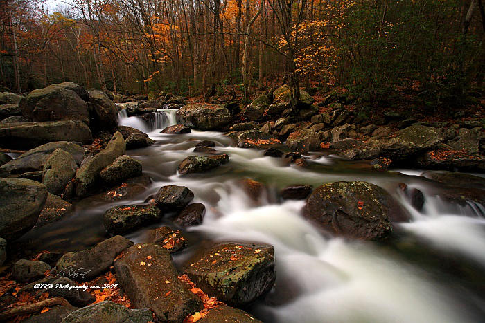 GSMNP Autumn 1 by TRBPhotographyLLC
