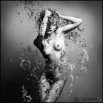 144 by AmeliaPhotography