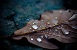 Cold Drops by thogro