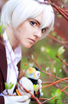 APH - Island 04 by Megane-Saiko