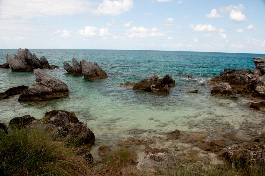 Bermuda 115 by FairieGoodMother