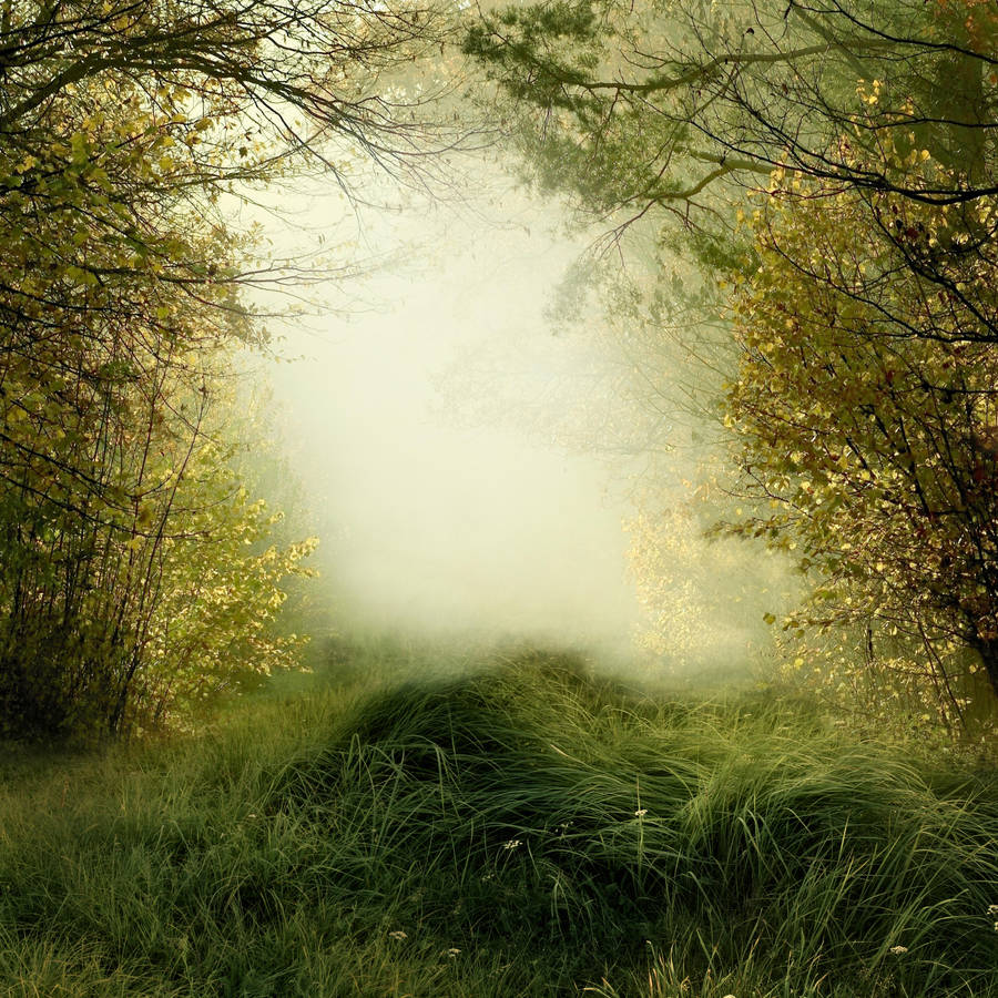 FGM Premade Background 65 by FairieGoodMother