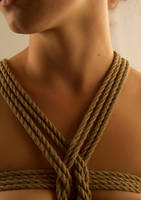 Harness by wphotography