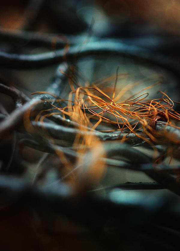 wire by Anti-Pati-ya