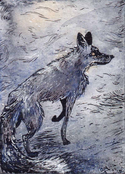 silver fox ACEO by fingalificated