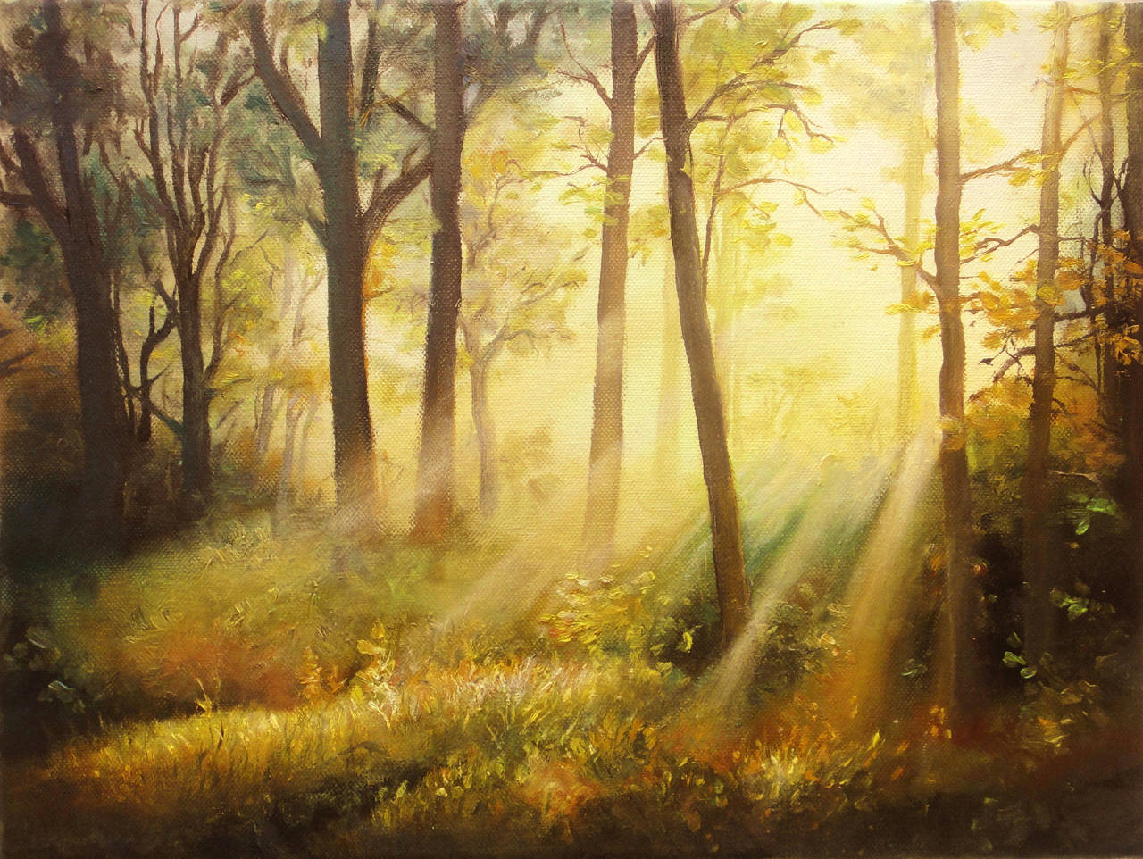 Sun rays by JoaRosa