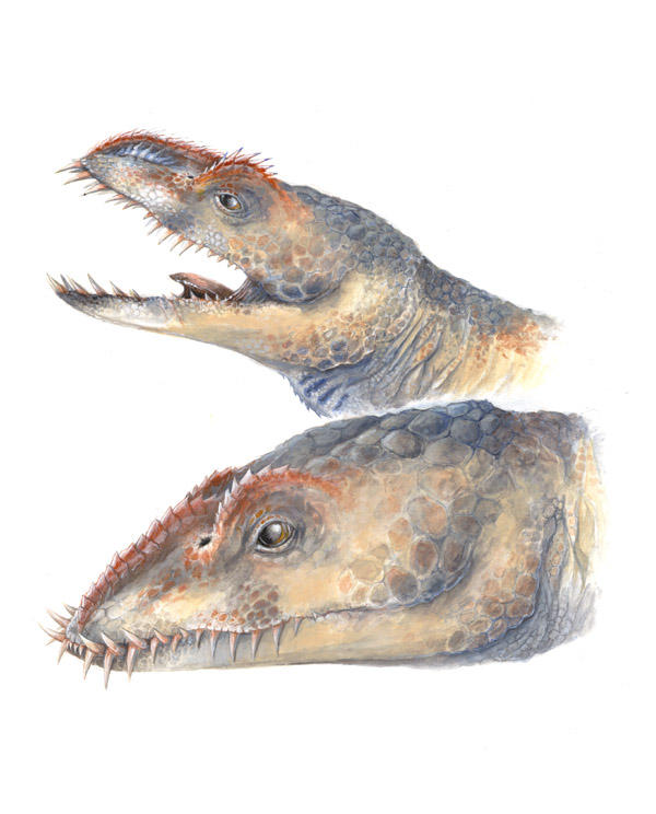 Umoonasaurus Demoscyllus by evil-santa
