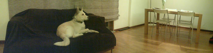 Lua at Home by pealmasa