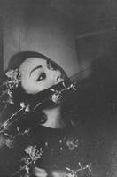 WildFlowers II by EmiNguyen