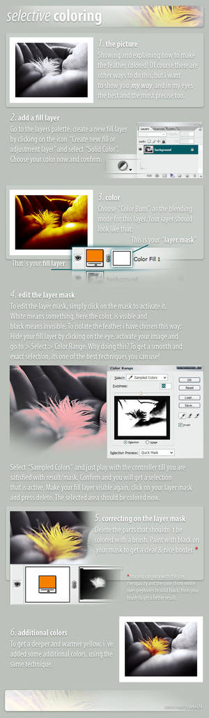 selective coloring by detail24
