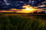 Heaven Can Wait by d67