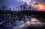 Moonlight meadow by d67