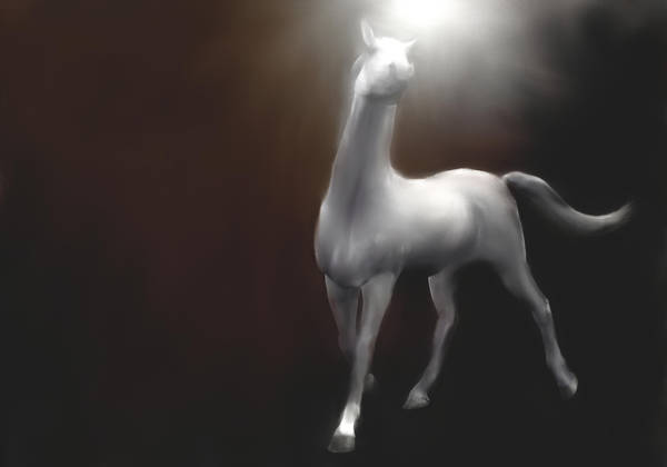 New Stock! White horse painting unicorn by madetobeunique