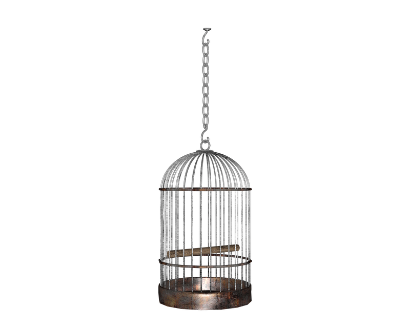 hanging side round birdcage by madetobeunique