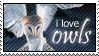 Owls by paramoreSUCKS