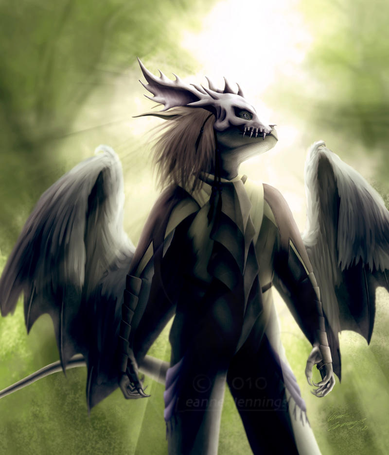 Draconic Shaman by Calyfern