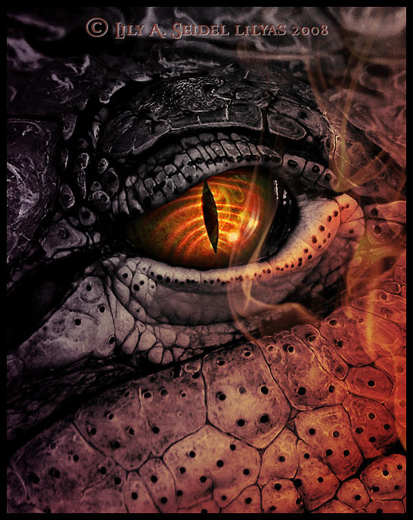 Dark Fire Dragon by Lilyas