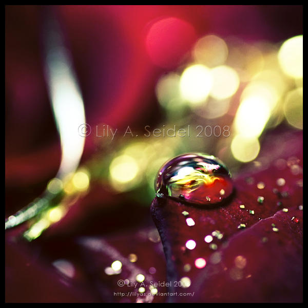Four by Lilyas
