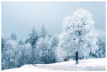 Winter Wonderland by Lilyas
