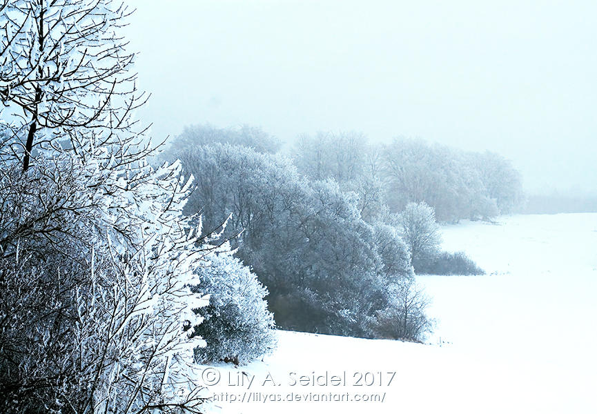 Stillness by Lilyas
