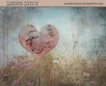 Peeling Your Heart Away by Smoko-Stock