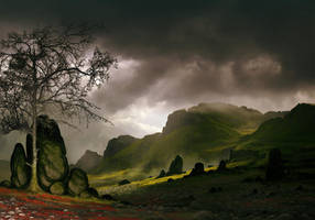 The Tundra by arcipello