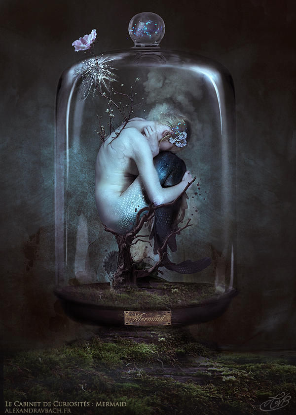 Le Cabinet de Curiosites - The Mermaid by AlexandraVBach Le Cabinet de Curiosites - The Mermaid by AlexandraVBach