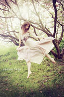 over the trees by SabrinaCichy